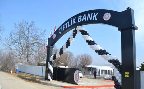 Çiftlik Bank'a Benzer 65 Şirket Denetim Altına Alındı