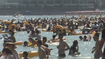 짧아도 너무 짧은 휴가...1년에 일주일도 못가 / YTN