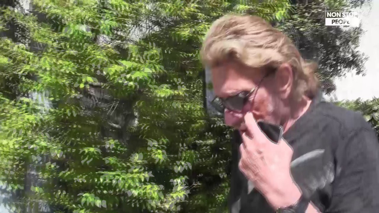 Testament de Johnny Hallyday : le rockeur donnait "priorité" à Jade et Joy