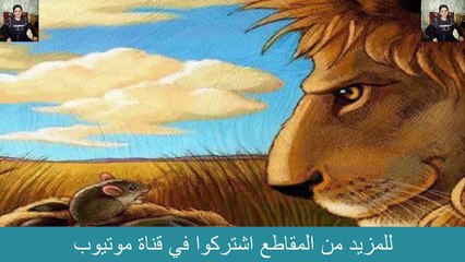 انظر كيف هزم الفأر هذا الجبل