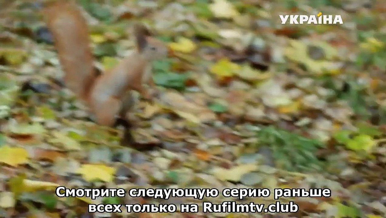 Кладовая жизни 4 серия (2018) фильм мелодрама сериал НОВИНКА