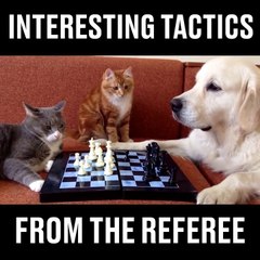 Comment gagner aux échecs