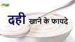 Health Benefits Of Curd (Yogurt) दही खाने के चमत्कारी फायदे   in Hindi  Indian Ayurveda