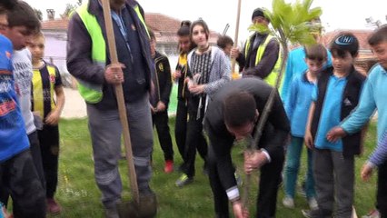 Afrin şehitlerinin ismi manolyalarda yaşayacak