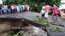 Three family members fail to cross as bridge collapses in Bihar