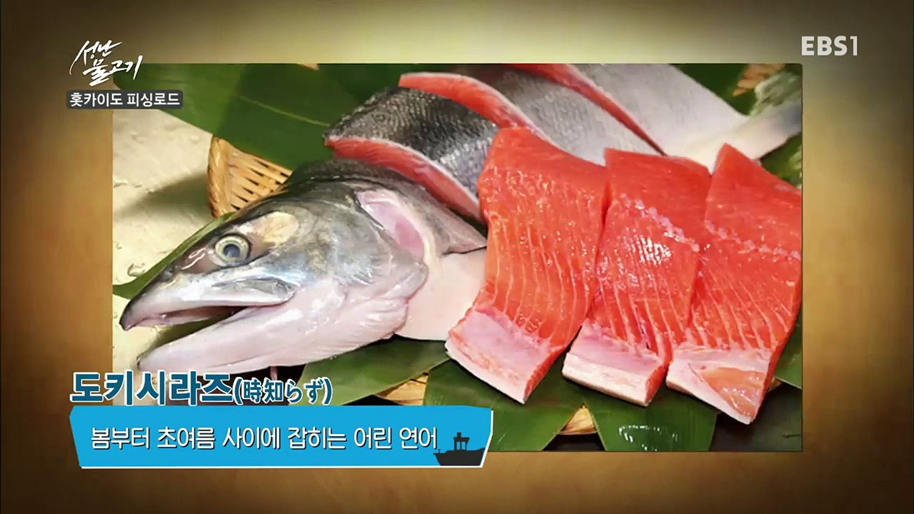 성난 물고기 - [홋카이도 피싱로드]_#001