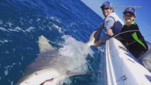 President Trump's Grandson Reels in a Shark With Help of Trump Jr.