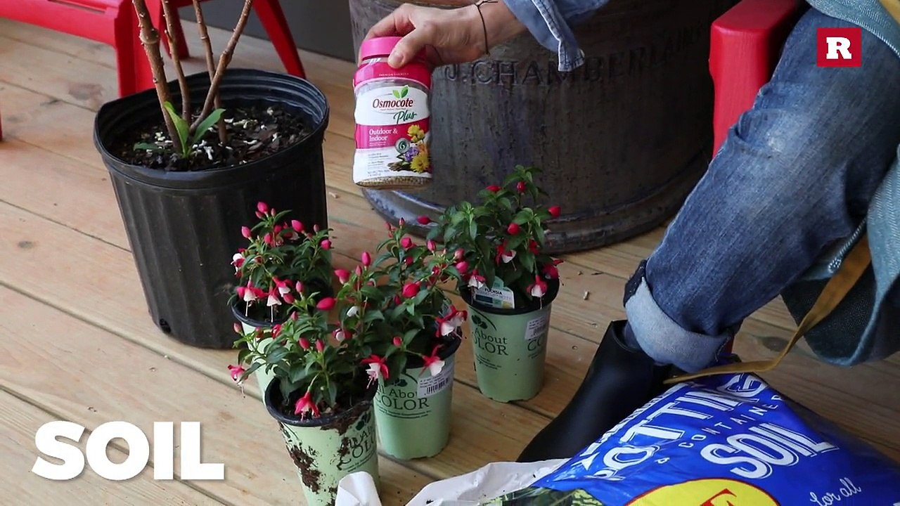 Porch winter blooming pot with Elissa the Mom | Rare Life