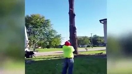 Hem ağaç kesip hemde uçmayı öğrenen adam