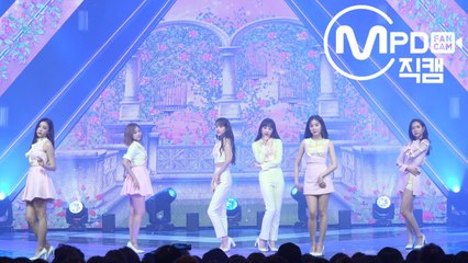 에이프릴 직캠 파랑새 엠카운트다운_180322