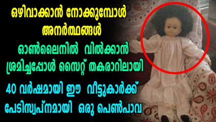 40 വർഷമായി വീട്ടുകാരെ വിടാതെ പിന്തുടർന്ന ഒരു പെൺപാവ | Oneindia Malayalam