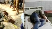 Snake charmer attacked by his own 'Python', people kept on making video | Oneindia News