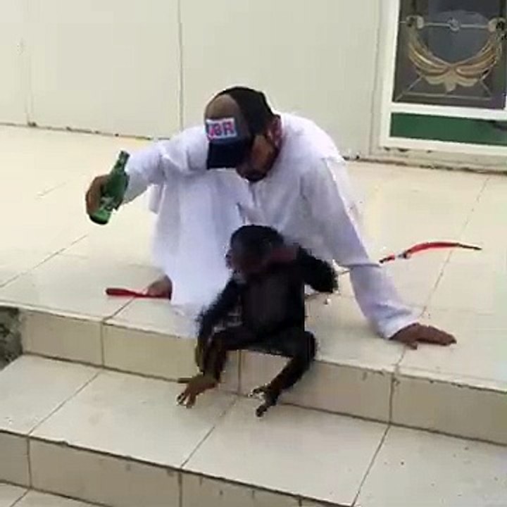 Vmonkey want 7up