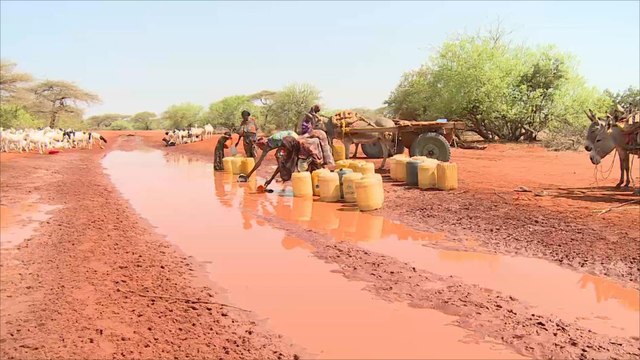 نصف سكان كينيا يعانون من شح المياه
