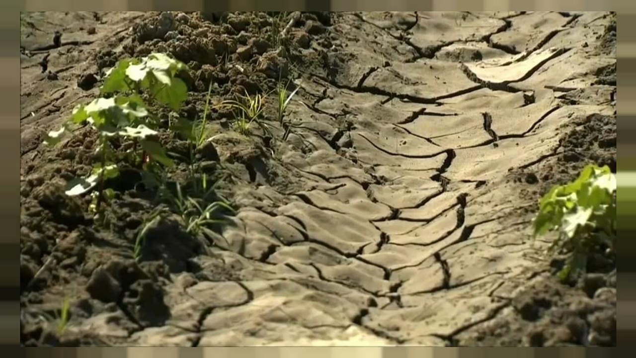 Réchauffement et CO2 : nouveaux rapports alarmants