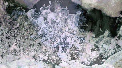 Terre :  la cryosphère vue de l’espace.