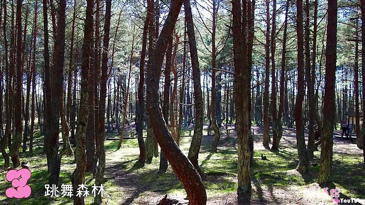 5個科學無法解釋的神秘地區