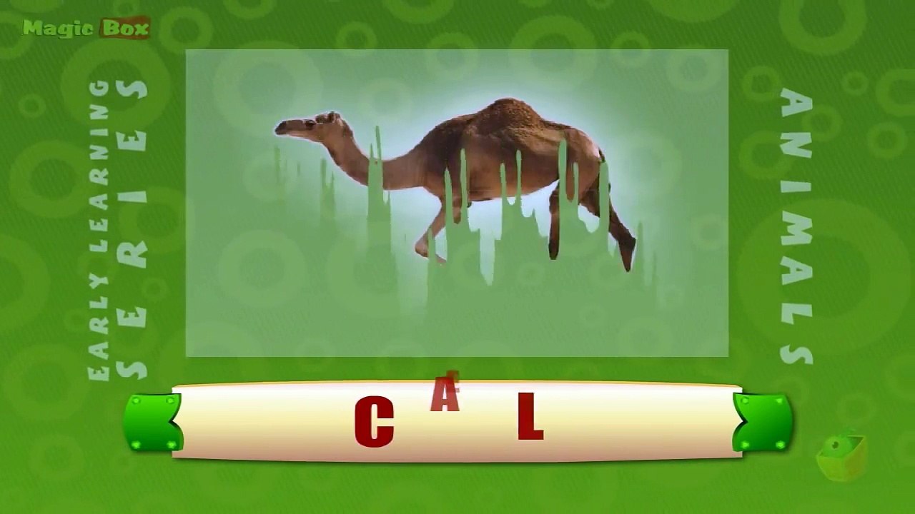 Camel - Animals - Pre School - Animated Educational Videos For Kids