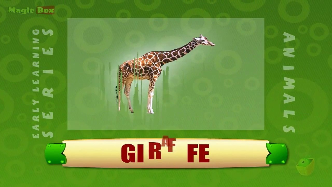 Giraffe - Animals - Pre School - Animated Educational Videos For Kids