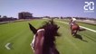 Caméra embarquée sur le cheval le plus rapide du monde - Le Rewind du Jeudi 22 mars 2018