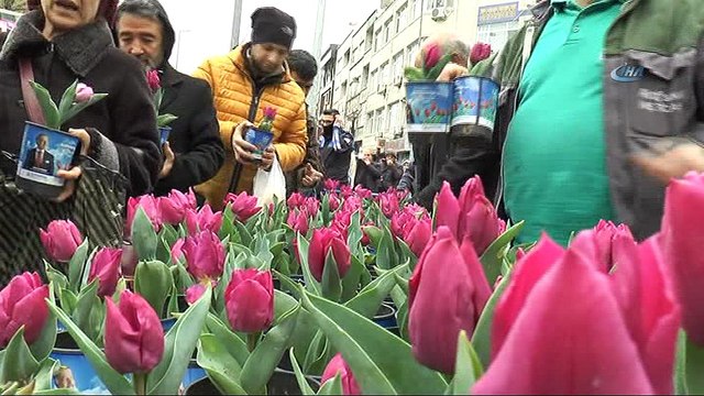 Bayrampaşa Belediye Başkanı Atila Aydıner vatandaşa lale dağıttı