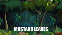 Mustard Leaves - Vegetables - Pre School - Animated Educational Videos For Kids