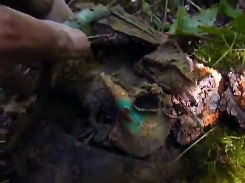 fouille militaria ww1 relic hunting