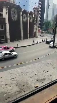 Ce gars s'amuse à capturer des pigeons avec un filet... WTF??