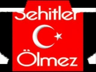 Master Turc by yasin