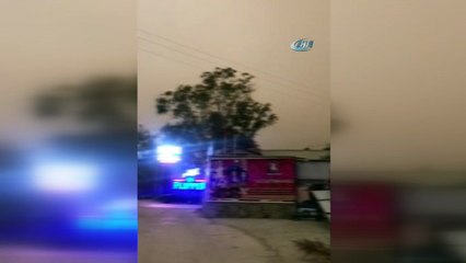 Bodrum'da fırtına...İş yerlerinin çatısı uçtu, ağaçlar devrildi