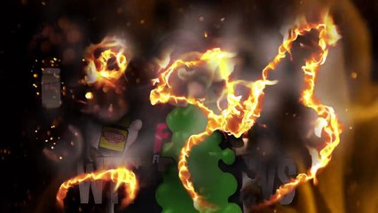 TED BARRUS WTF REVIEW  A MALE RHINO BEETLE CHALLENGE FROM HELL