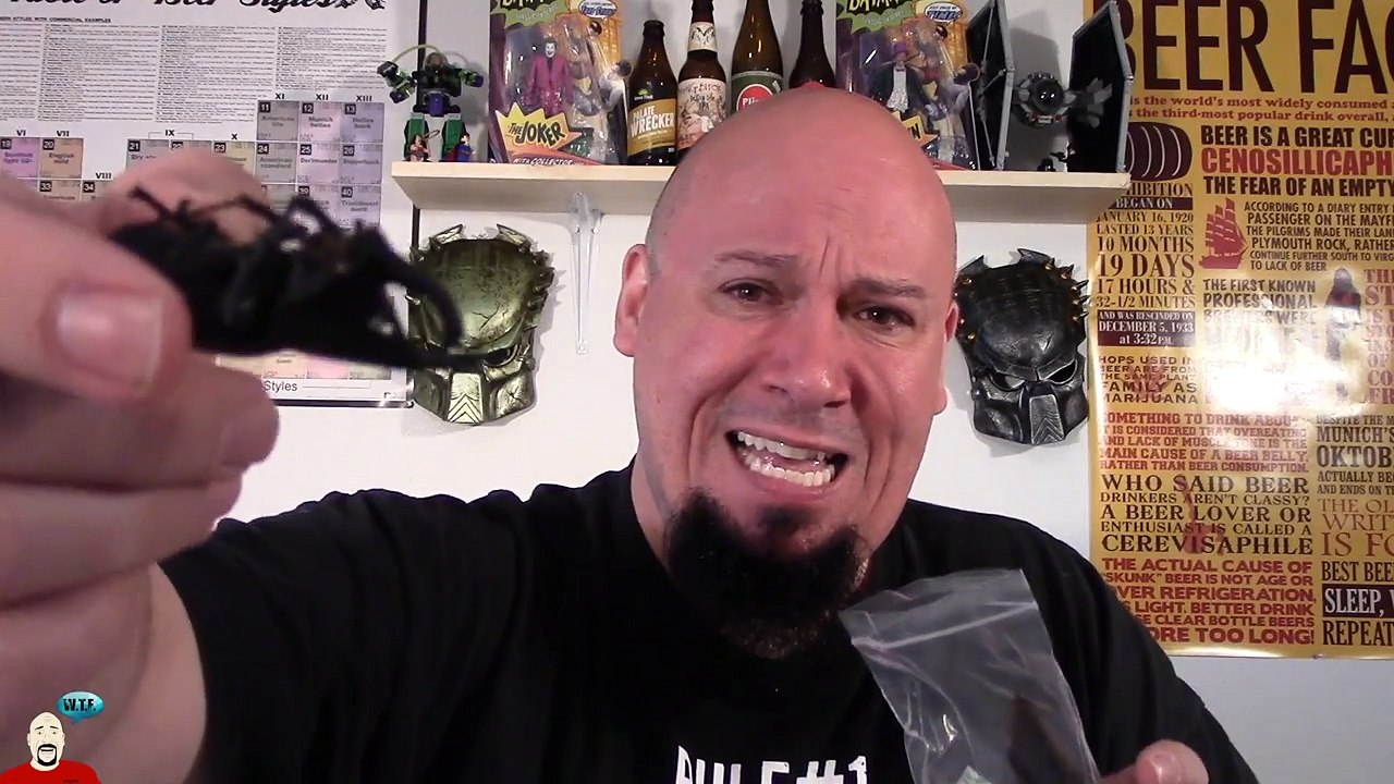 TED BARRUS WTF REVIEW TED EATS ASIAN FOREST SCORPION *PUKE WARNING* A REAL WTF REVIEW