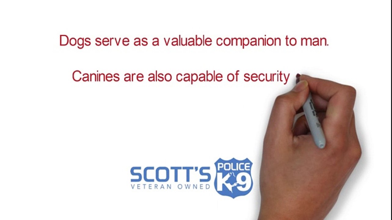 Essential facts to understand when seeking police dogs for sale