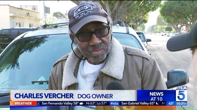 Video Shows Moments Leading Up to Fatal Shooting of Dog in Front Yard
