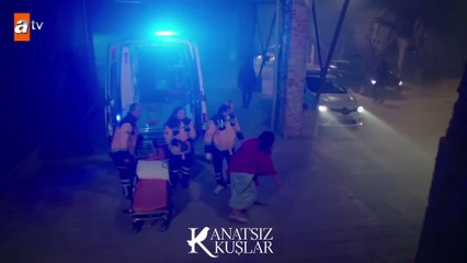 Nefise, çocuklarına kavuşuyor! - Kanatsız Kuşlar 39.Bölüm