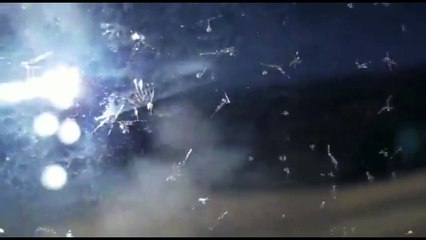 ARMANDA Of NIBIRU Planets IN Sky From Plane Window 2018 CRAZY....