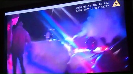 Body Camera Video Released of Illinois Interstate Police Shooting That Killed Woman