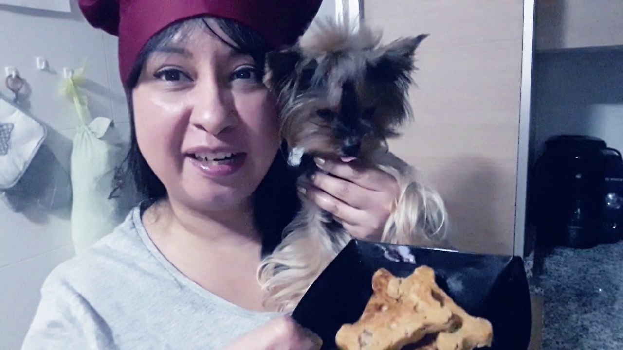 GALLETAS CASERAS PARA PERROS - RECETA FACIL CON BISCUIT MAKER - Aracelli Vlogs