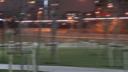 Zeytinburnu'nda Elleri Arkadan Bağlı Ağaca Asılı Ceset Bulundu