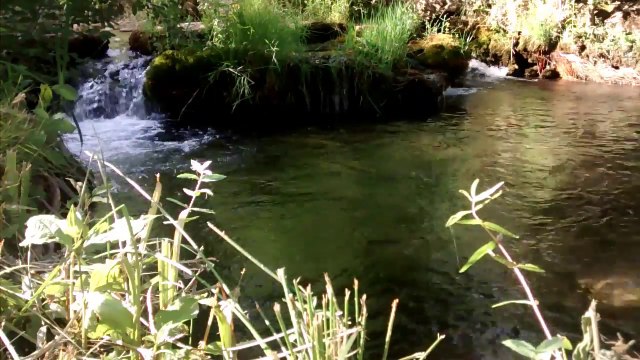 la musica del agua y el canto de los pajaros-water and birds music-