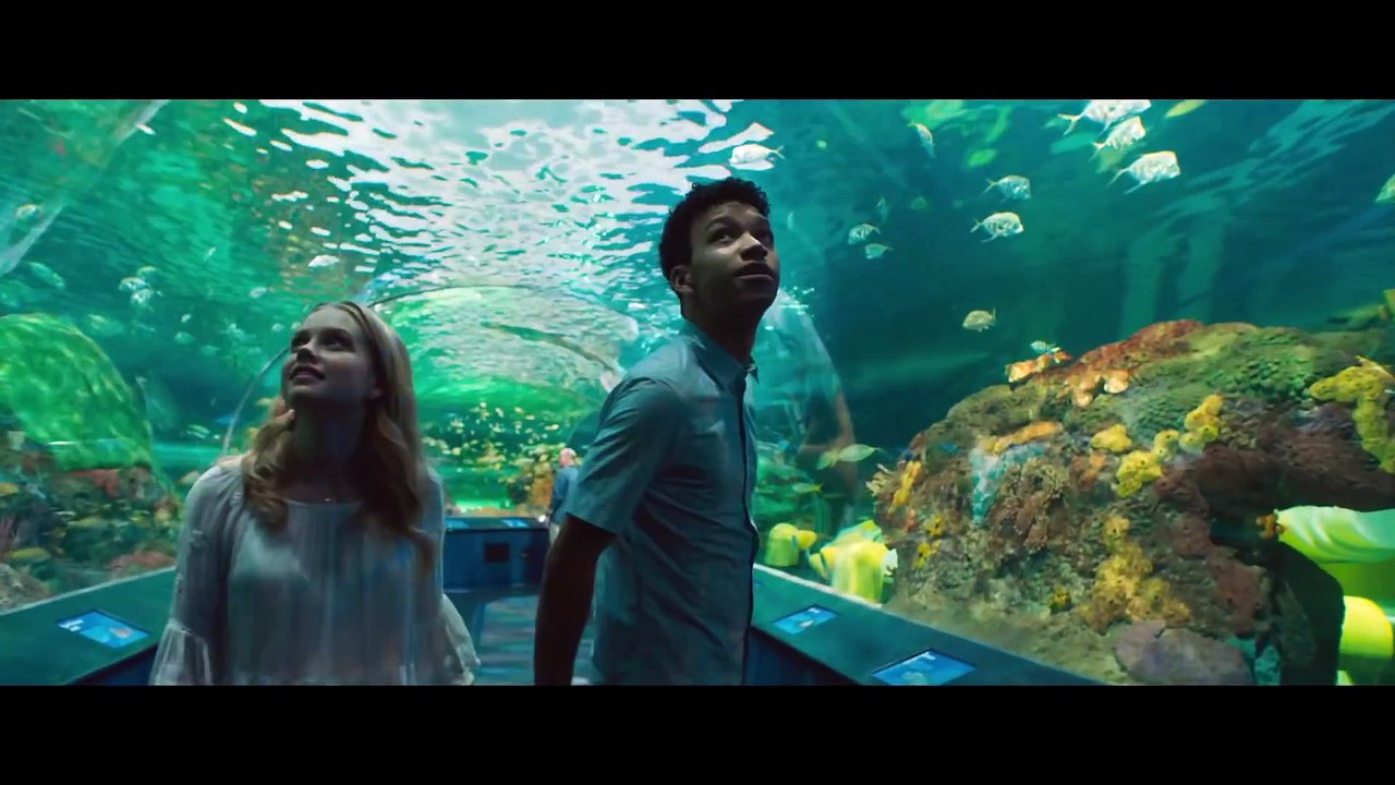 Todo Dia (Every Day, 2018) - Trailer Dublado