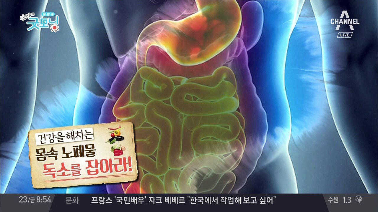 몸에 쌓인 '독소'를 잡아라! 건강을 위한 해독 비법은?