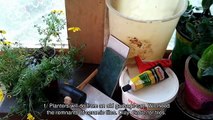 How To Make Pots For Flowers From Bath Tiles - DIY Home Tutorial - Guidecentral