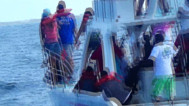 Ballena jorobada saltando en la provincia de Samana region nordeste Republica Dominicana.