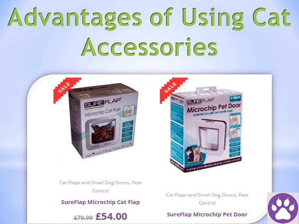 Advantages of Using Cat Accessories
