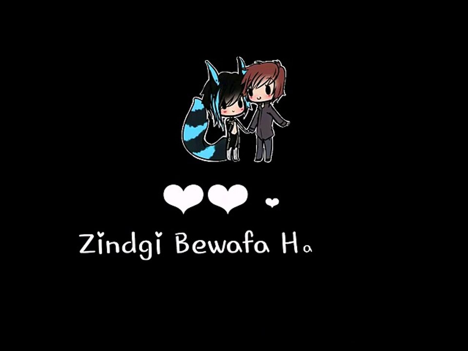 new WhatsApp video