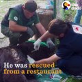 This bear spent so many years chained up in a terrible place. He still shows signs of what he went through, but he’s so happy to finally run free ❤️