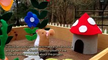 How To Make a Fun Felt House and Garden Tools - DIY Crafts Tutorial - Guidecentral