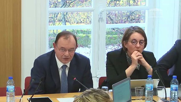 Commission des affaires économiques : Protection des savoir-faire et des informations commerciales non divulgués contre l’obtention, l’utilisation et la divulgation illicites - Mardi 20 mars 2018