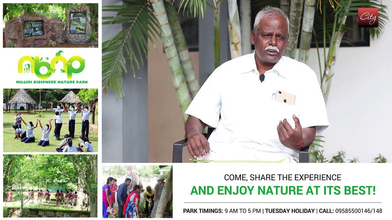 Magical use of "Aloe Vera" in daily life | SimpliCity
